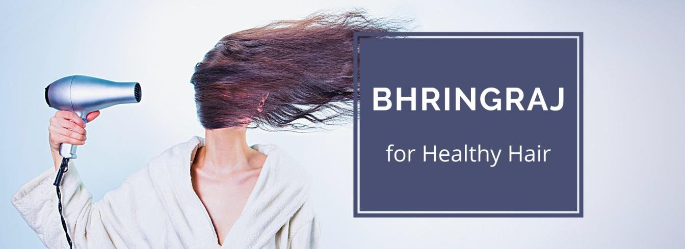 Bhringraj herb Uses, Benefits, Side Effects, Dosage